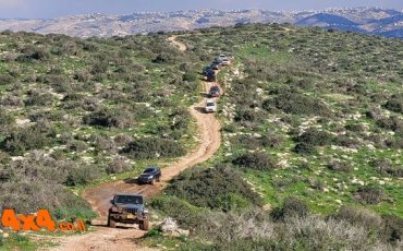 ביהמ"ש להפניקס: יש שודדים עם אקדח ויש שודדים עם עט נובע