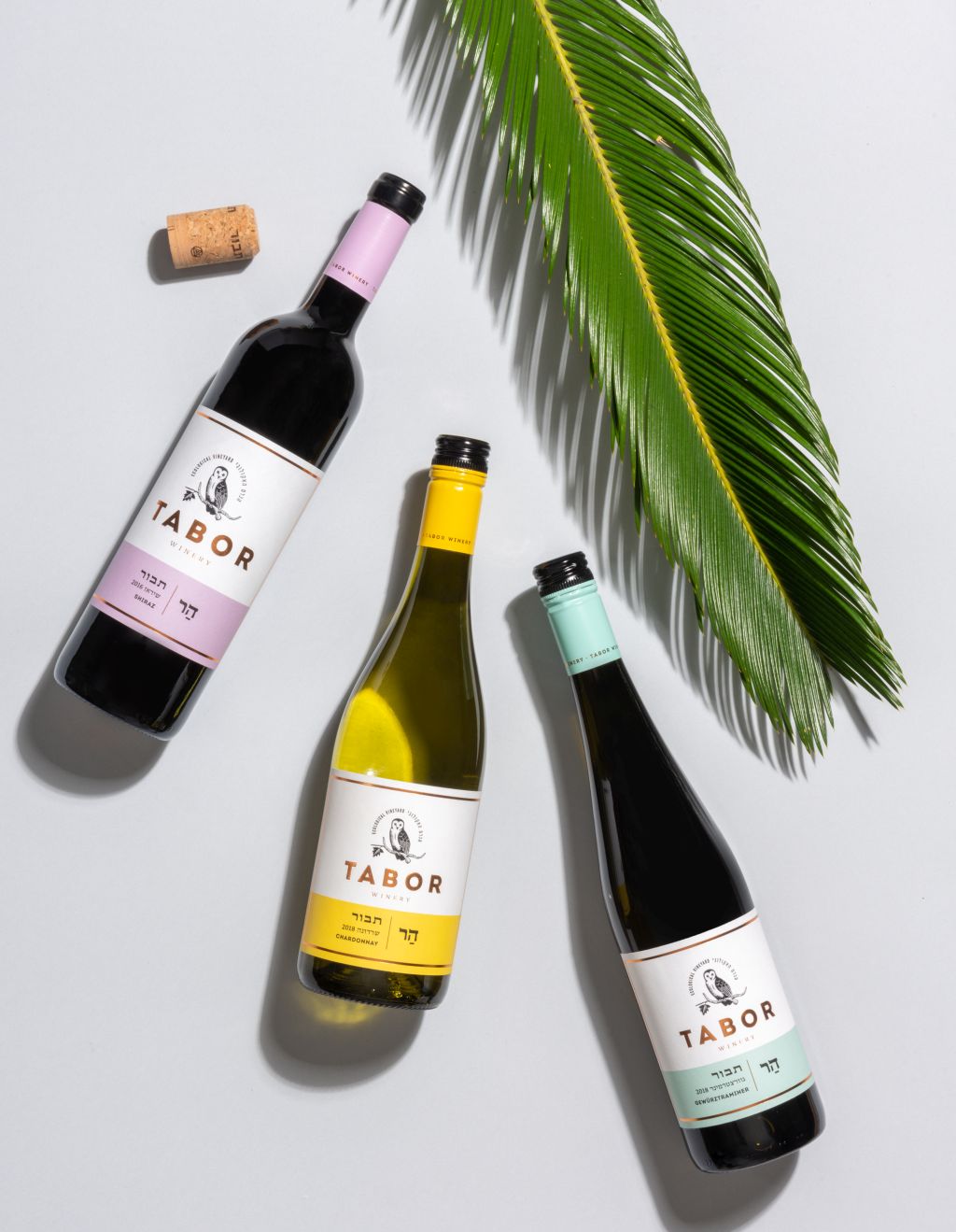 יקב תבור מיתוג חדש